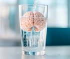 Your Mind is in its Prime at 60