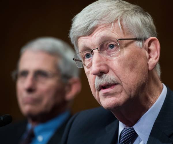 Fauci,  NIH Director Discussed 'Take Down' on Herd Immunity