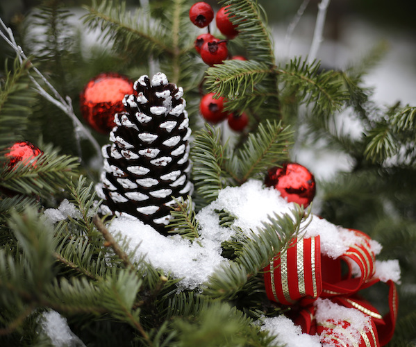 a christmas tree with ornaments on it