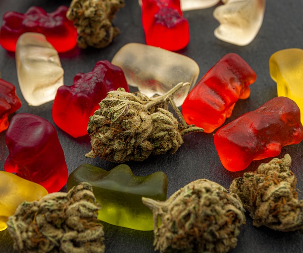 marijuana buds and gummy edibles