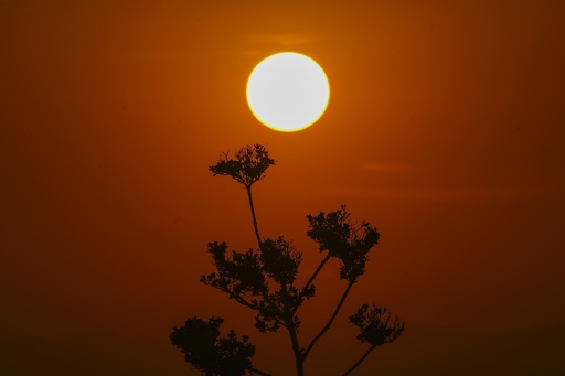 'Heat Dome' Leads to Sweltering Temperatures in Mexico, Central America and US South