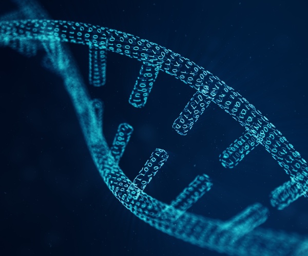 dna molecule with modified genes