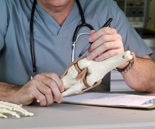 scientist examining model of knee