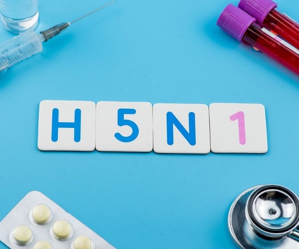 H5N1 spelled out in blocks