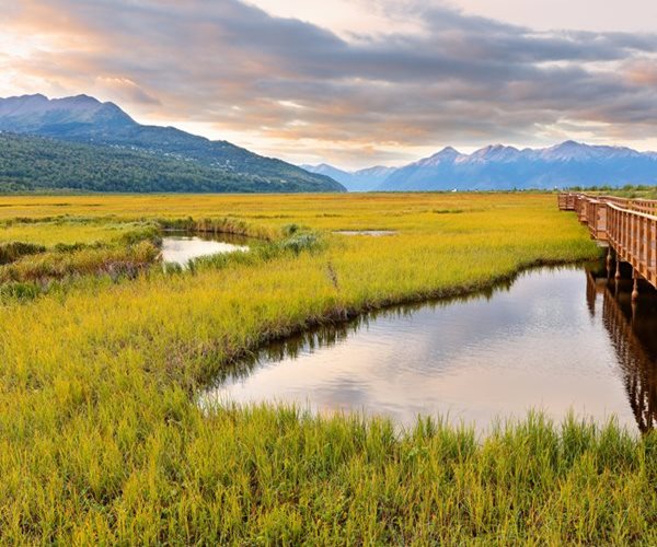 US to Offer Oil, Gas Leases in Alaska Wildlife Refuge on Jan. 9