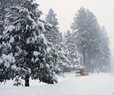 6 Skiers Reported Alive, 10 Missing After Northern Calif. Avalanche