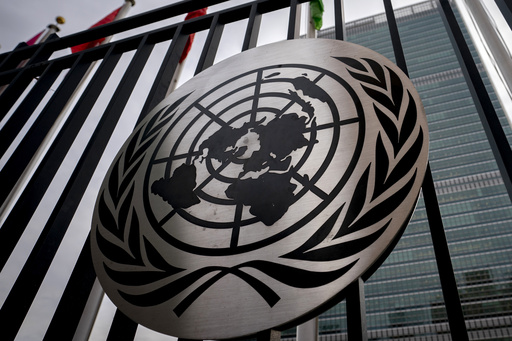 UN Is Moving to Fight Cybercrime but Privacy Groups Say Human Rights Will Be Violated