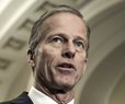 Thune to Trump: Stay Out of Senate Leadership Vote