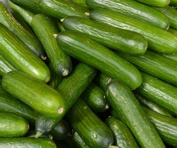 Salmonella Triggers Cucumber Recall in 26 States