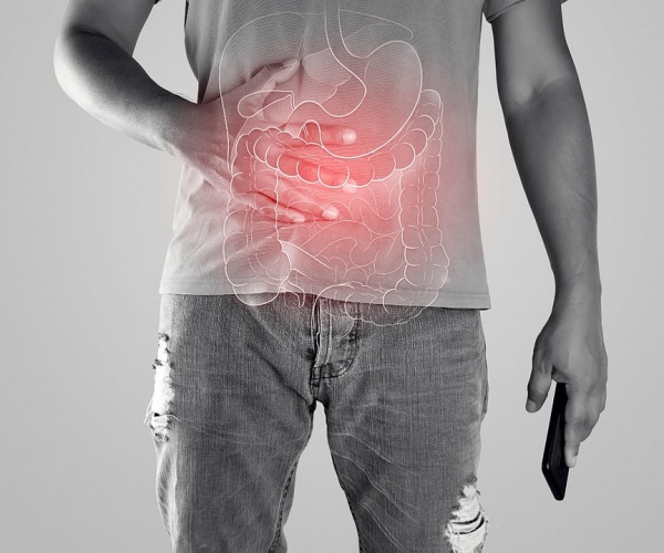 illustration highlighting digestive tract
