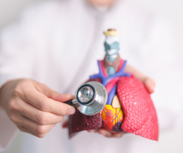 physician holding magnifying glass to a model of lungs