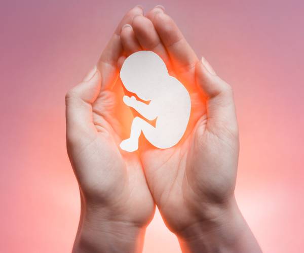 a womans hands holding a glowing cutout shape of a human unborn fetus