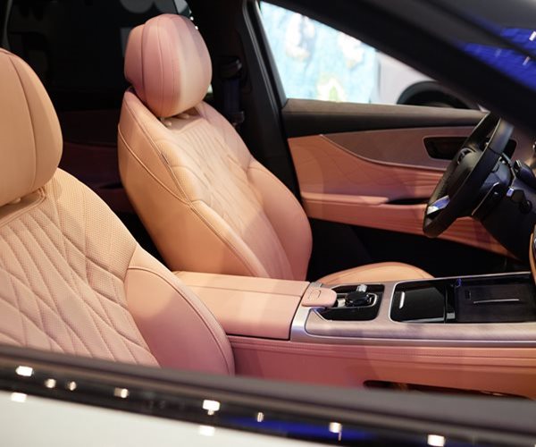 The Surprising Truth About Car Leather Interiors