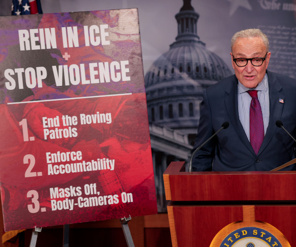 united states capital senatorial and or budgetary realpolitik over dept of homeland security and or immigration 