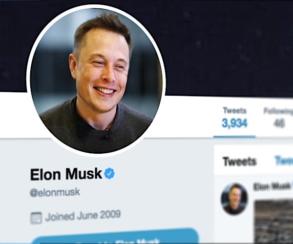 Elon Musk's Twitter profile picture