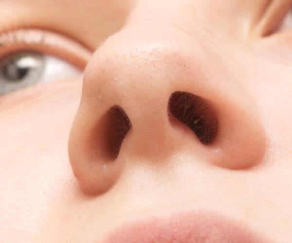 closeup of a womans nose