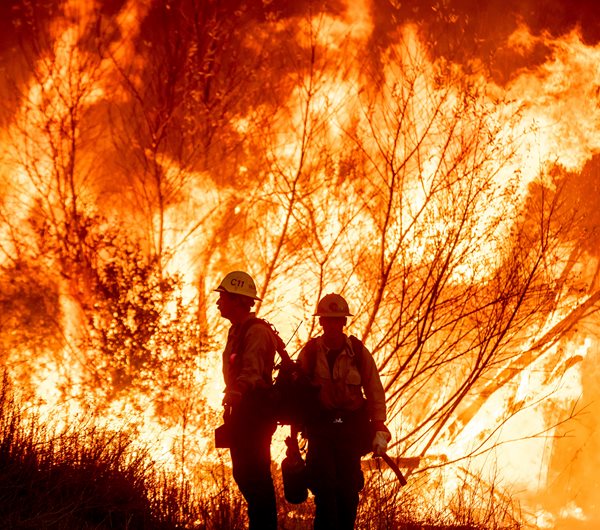 LA Fires Will Drastically Drive up Your Car Insurance