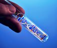 Congress Targets Sales of Possibly Risky Synthetic DNA
