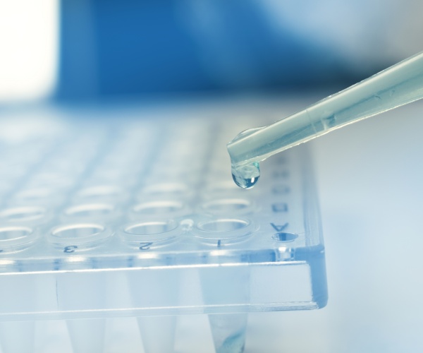 person in lab doing stem cell research