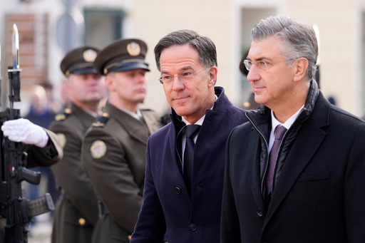 How NATO Works at a Time of Trump's Greenland Threats