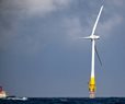 Wind Developers Challenge Trump Suspensions
