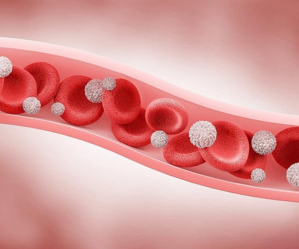 illustration of blood cells