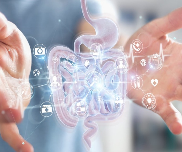 hands of scientist around illustration on screen of intestines