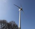 US, TotalEnergies Agree to End Offshore Wind Projects