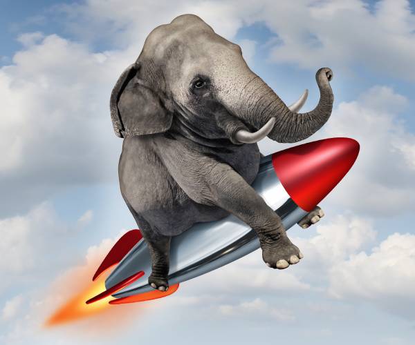 an elephant riding a rocket