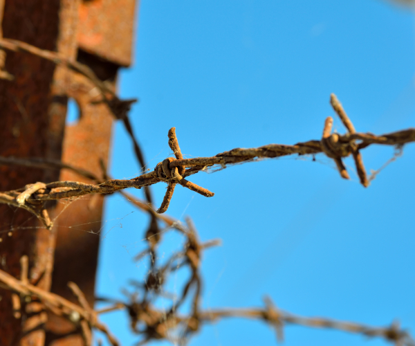 rusted barbed wire around an enclosure