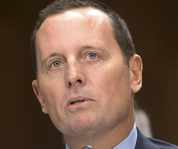 richard grenell speaks before congress