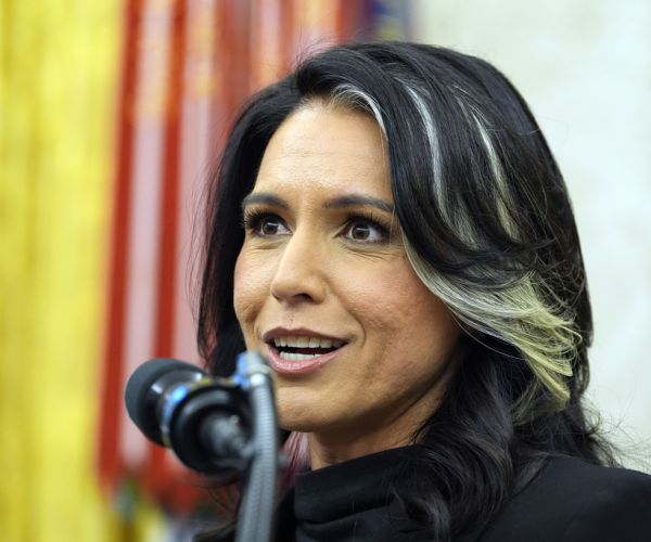 Gabbard Pledges to 'Aggressively Pursue' Leaks from US Intelligence Agencies 