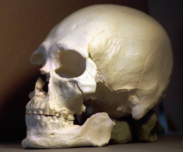 Europeans Banned From Prehistoric America