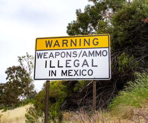 possible south of the border meddling in gun rights 