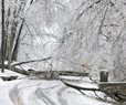 UBS: Winter Storm to Cause Billions in Insured Losses