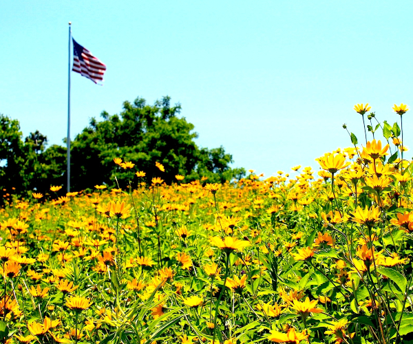 What My Mother's Example Teaches Us About Healing America 