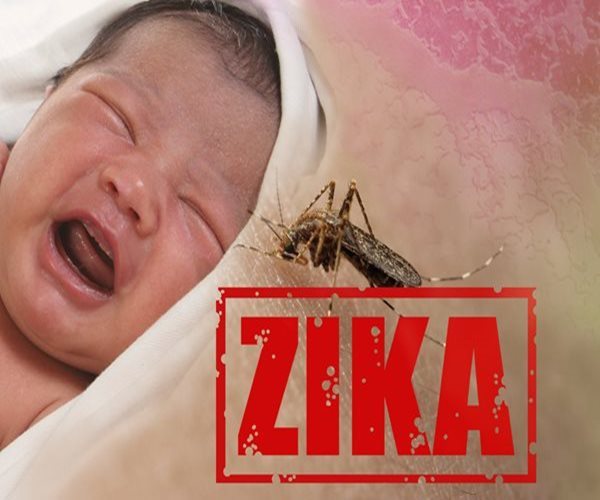 Zika Risk Lower Than Thought for Some Pregnant Women