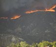 New Study Reveals How Wildfires Raise Heart Risks