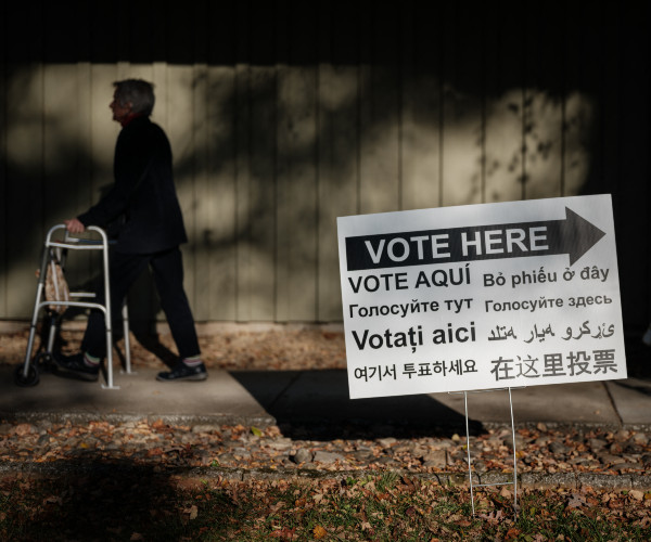 minority protected class voting and voters