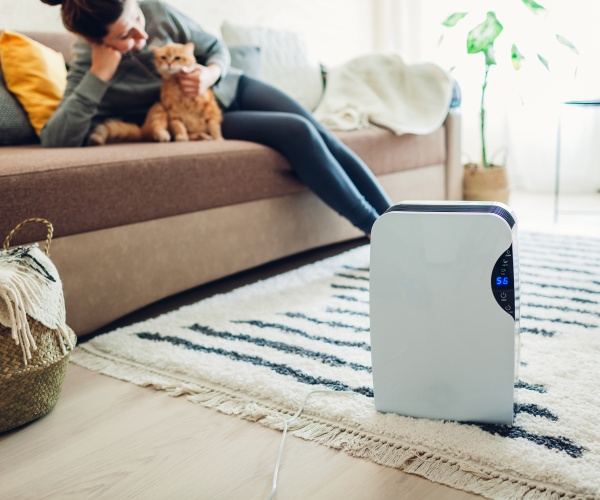 woman sitting on couch in living room with cat, dehumidifier