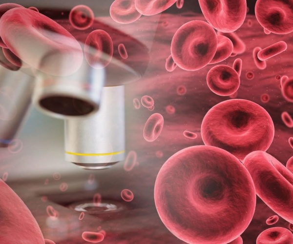 illustration of blood cells under microscope