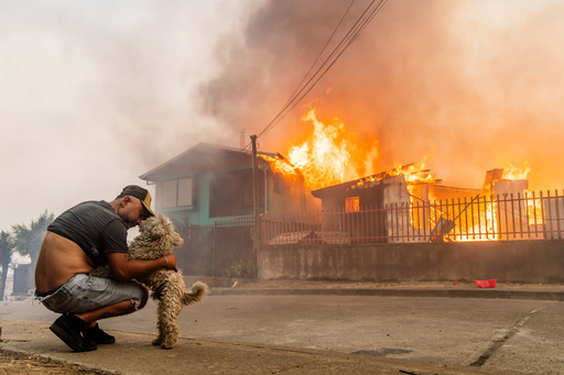 Wildfires Race across Chile, Leaving 15 Dead and Forcing Thousands to Flee