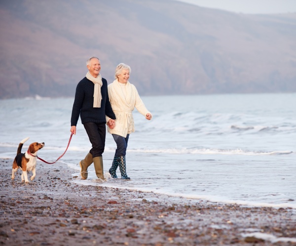 older man and woman walking dog on a beach