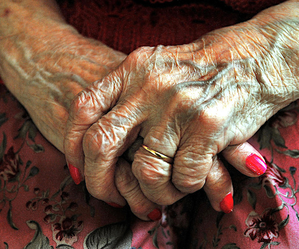 an elderly woman's weathered hands are folded in her lap