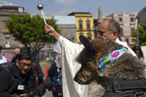 Blessings for Dogs? Bring Them to Mexico City's Cathedral and St. Anthony Will Do the Rest