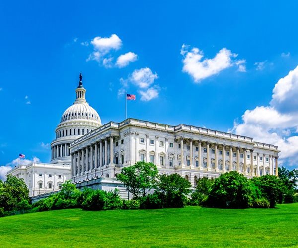 The Role of Govt in Capitalism: A Delicate Balance