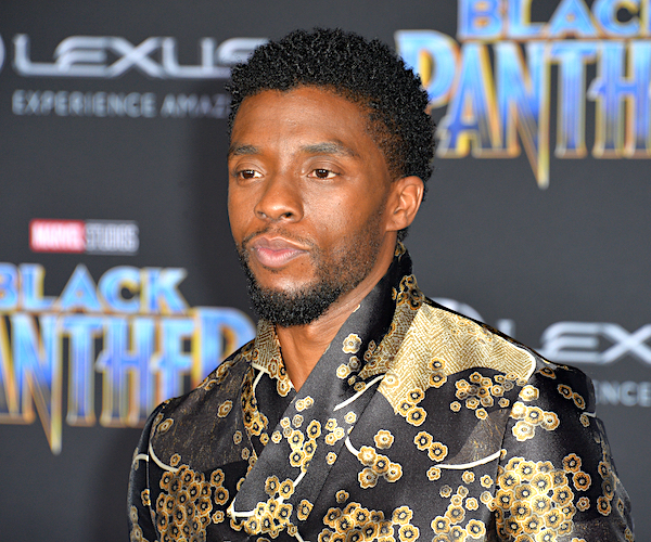 chadwick boseman stands contrite on the red carpet during the black panther premier