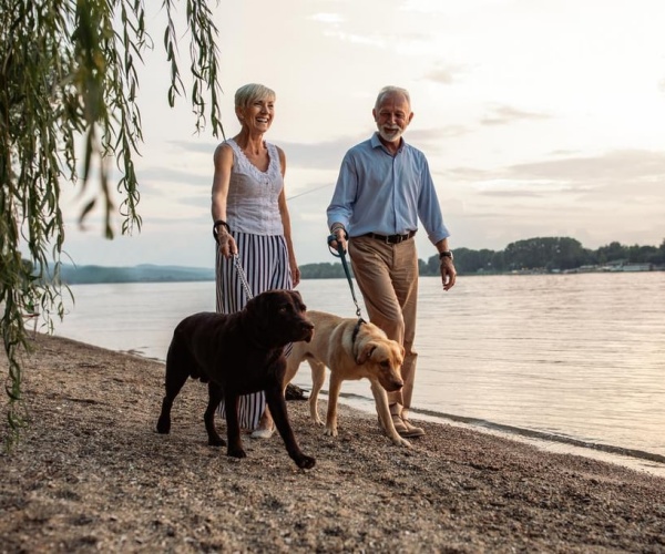 man and woman walking along beach walking dogs