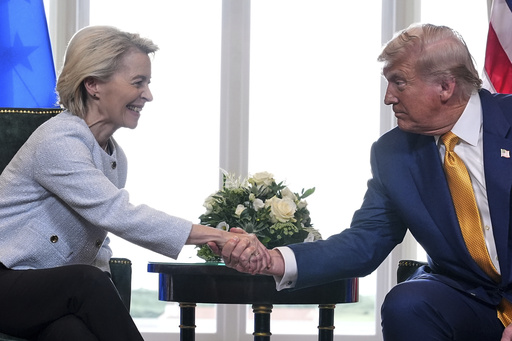 Reaction to the European Union's Trade Agreement with the Trump Administration