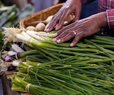 Wholesale Inflation Ticks up a Mild 0.2% in November